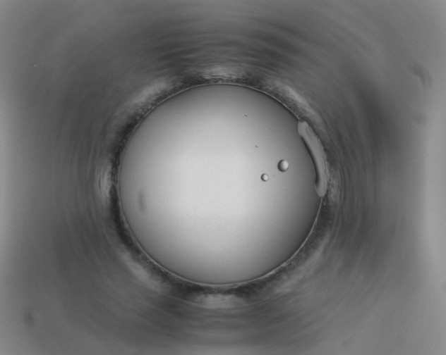 X0000114010637200910161734