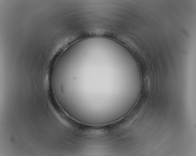 X0000114010638200910161734