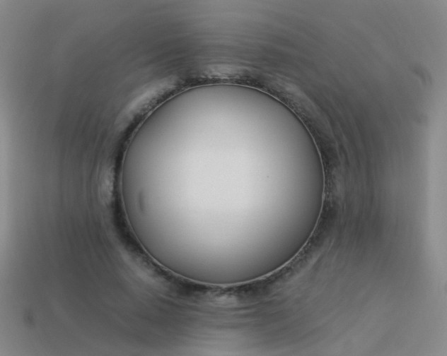 X0000114010640200910161734