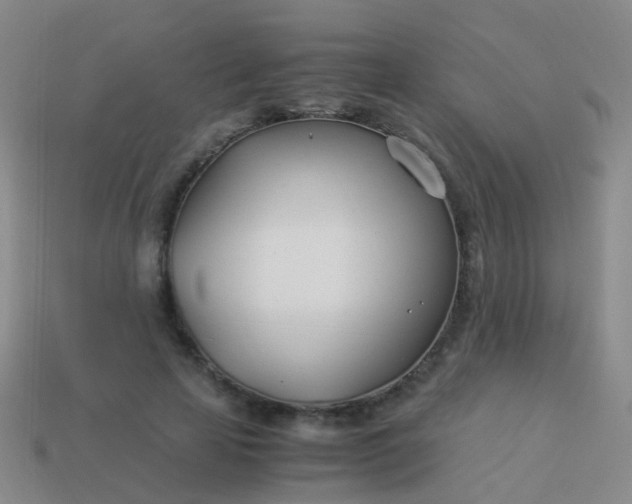 X0000114010641200910161734