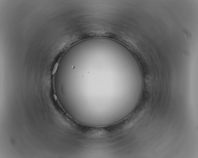 X0000114010642200910161734