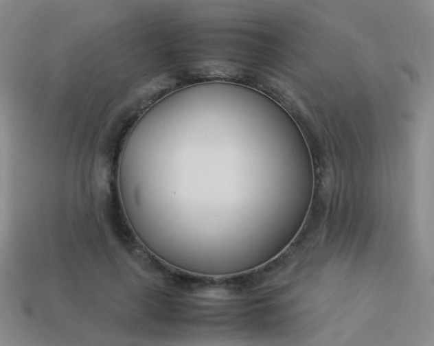 X0000114010643200910161734