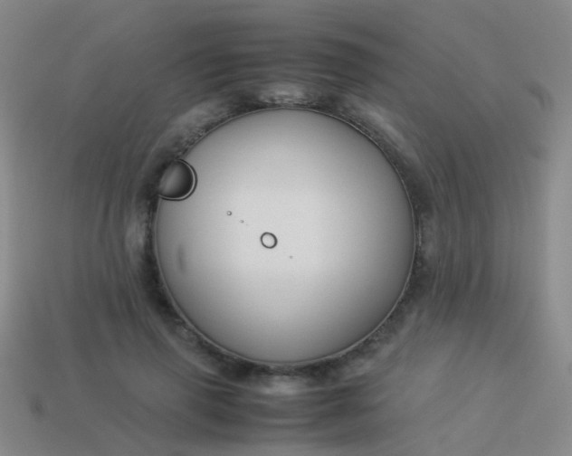 X0000114010645200910161734