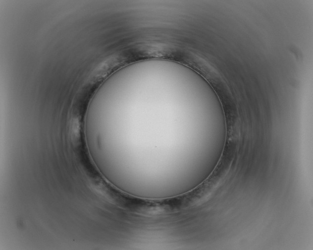 X0000114010646200910161734