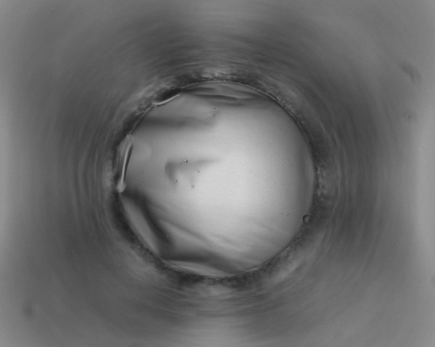 X0000114010648200910161734