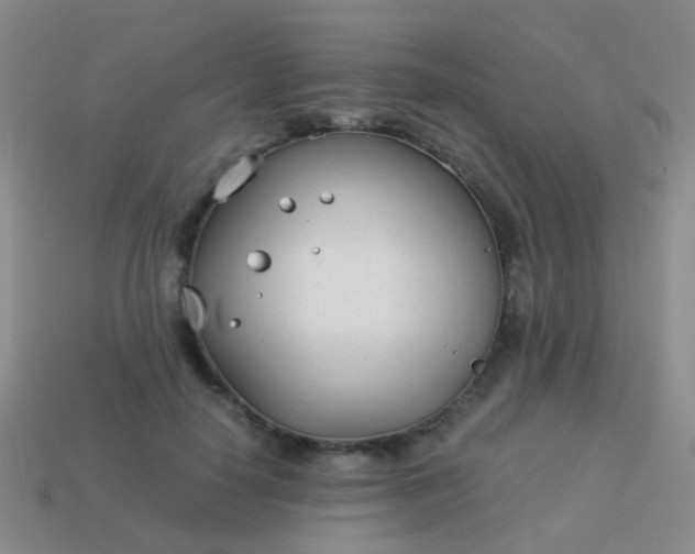 X0000114010650200910161734