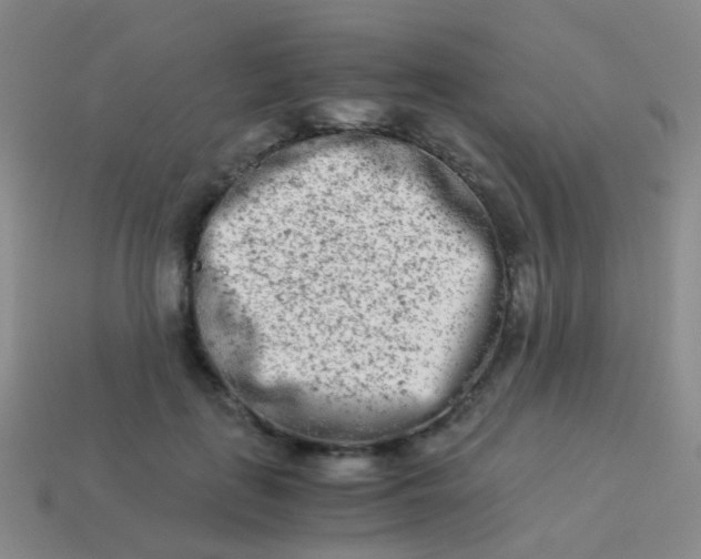 X0000114010651200910161734