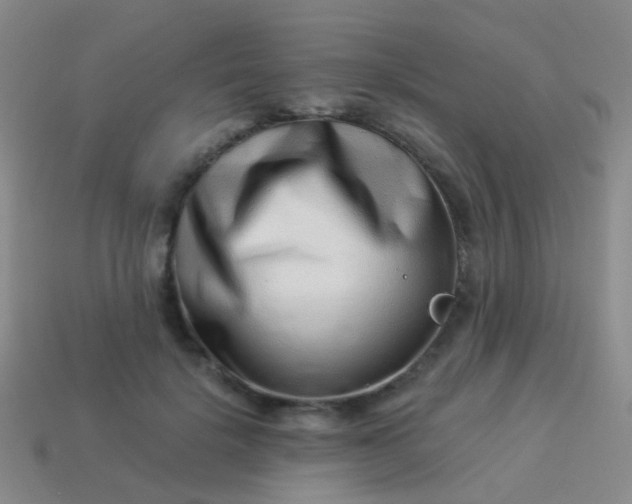 X0000114010652200910161734