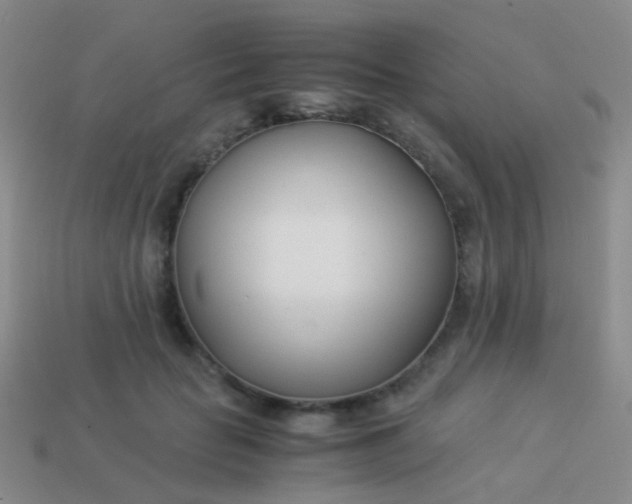 X0000114010653200910161734