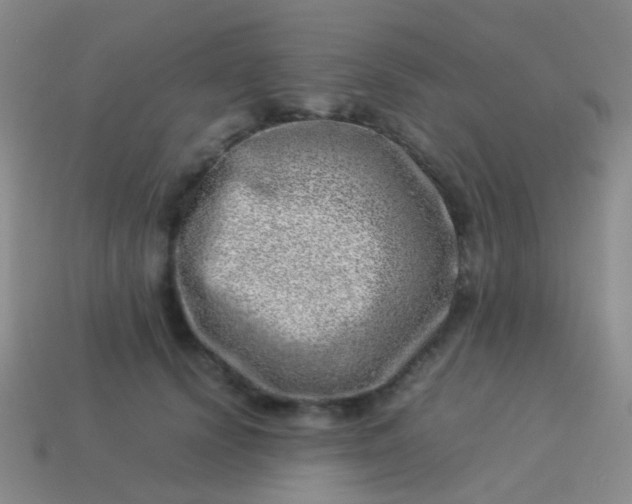 X0000114010656200910161734