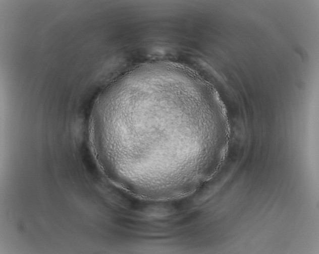 X0000114010659200910161734