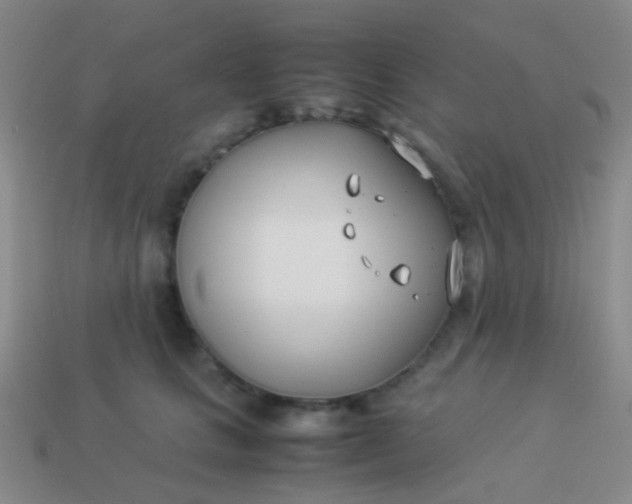 X0000114010661200910161734