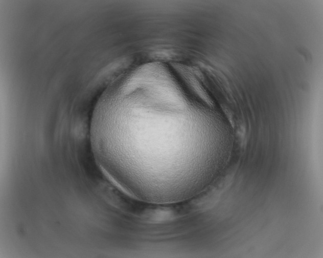 X0000114010665200910161734