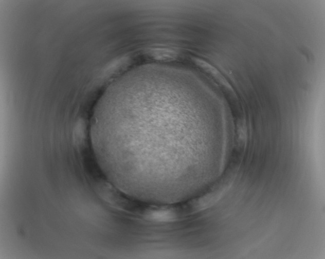 X0000114010667200910161734