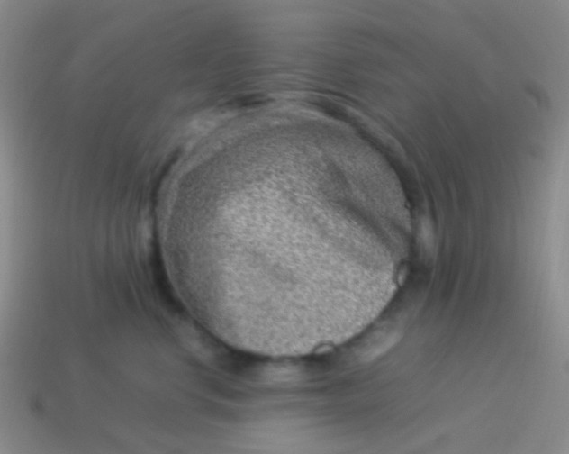 X0000114010668200910161734