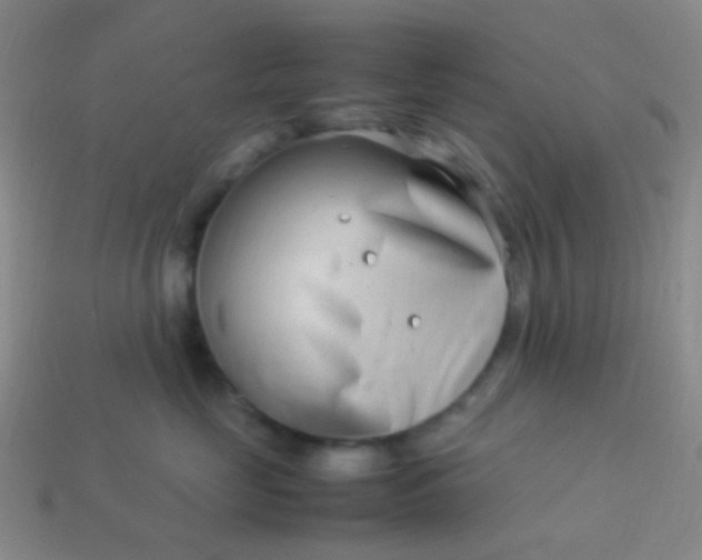 X0000114010669200910161734