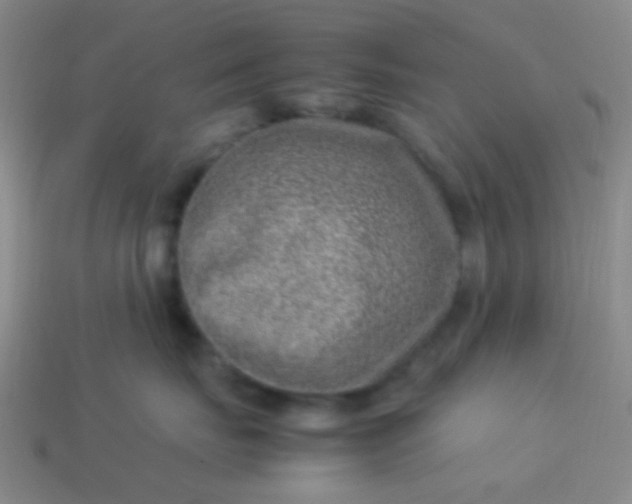 X0000114010671200910161734