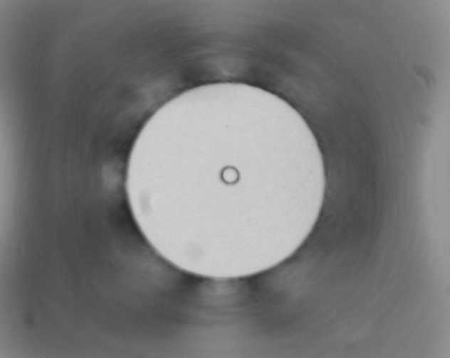 X0000114010672200910161734