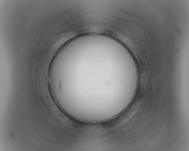 X0000114010673200910161734