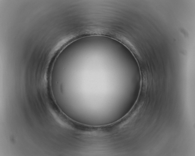 X0000114010674200910161734