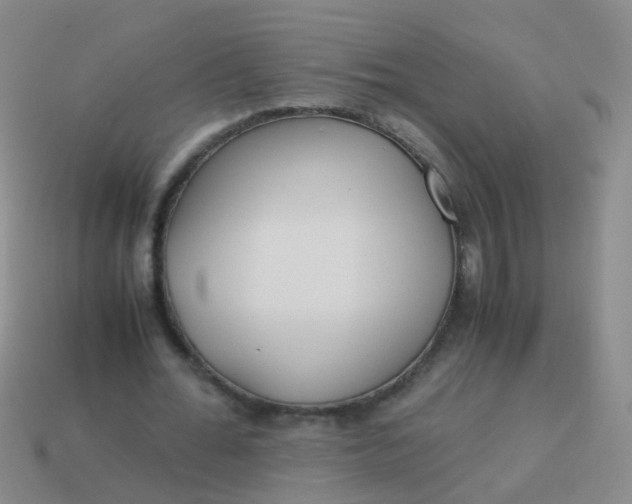 X0000114010676200910161734