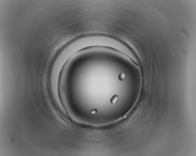 X0000114010677200910161734