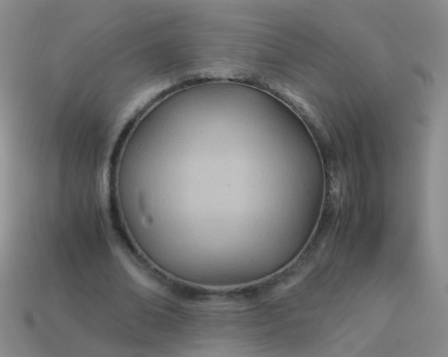 X0000114010678200910161734