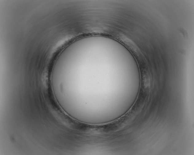 X0000114010680200910161734