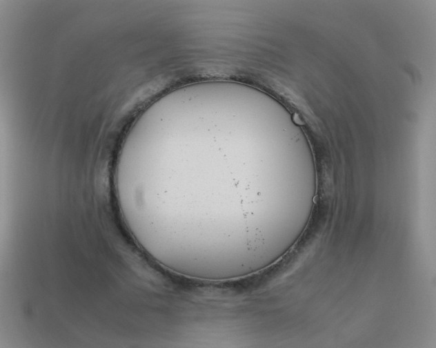 X0000114010681200910161734