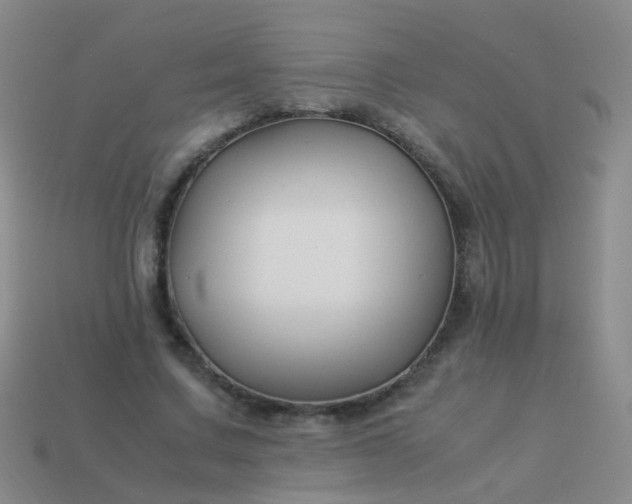 X0000114010683200910161734