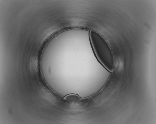 X0000114010684200910161733