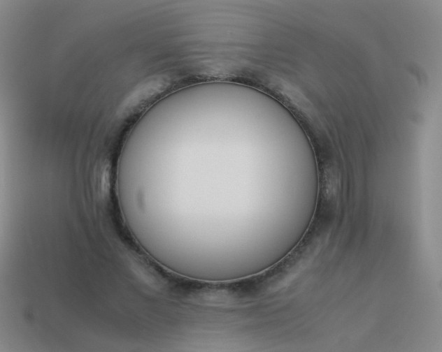 X0000114010685200910161733