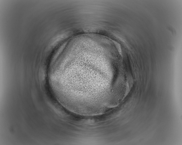 X0000114010687200910161733