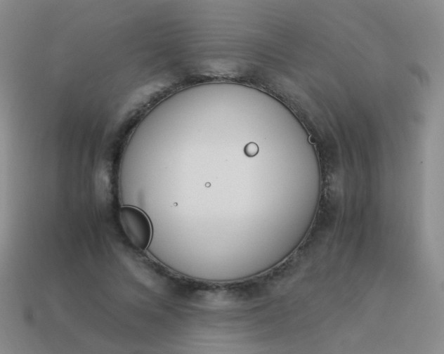 X0000114010688200910161733