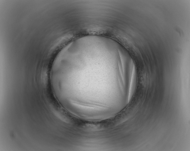 X0000114010690200910161733