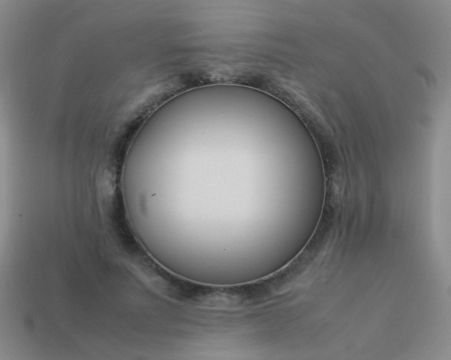 X0000114010691200910161733