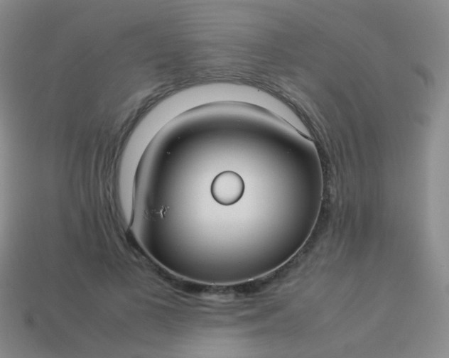 X0000114010693200910161733