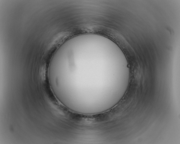 X0000114010694200910161733