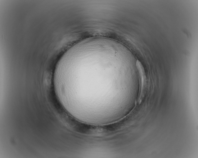 X0000114010695200910161733