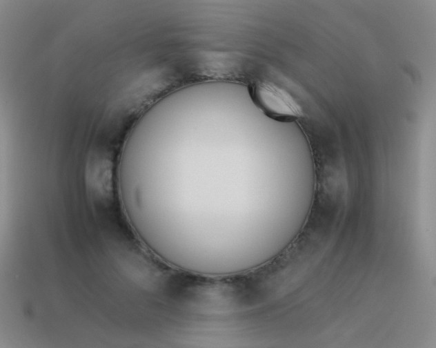 X0000114010696200910161733