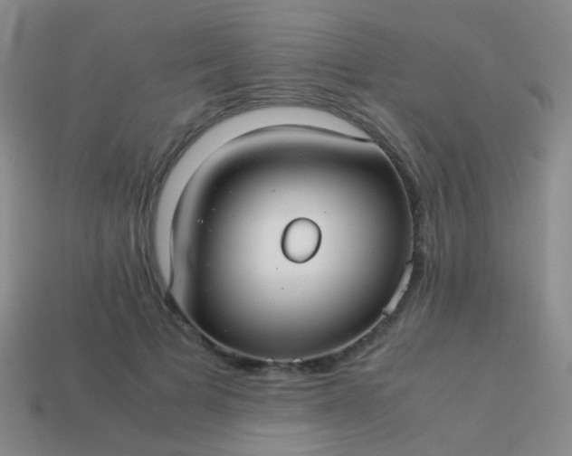 X0000114010697200910161733