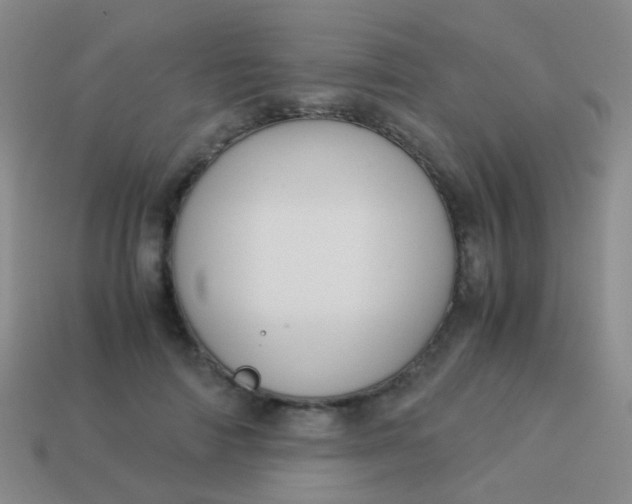 X0000114010698200910161733