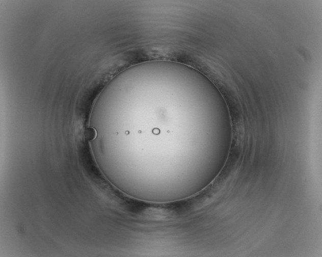 X0000114010699200910161733