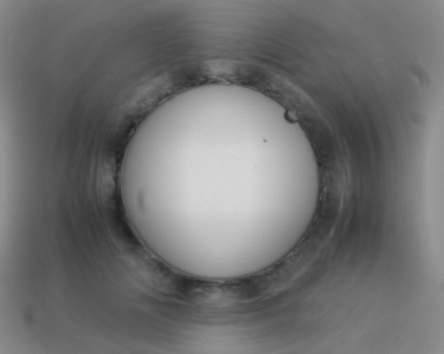 X0000114010702200910161733