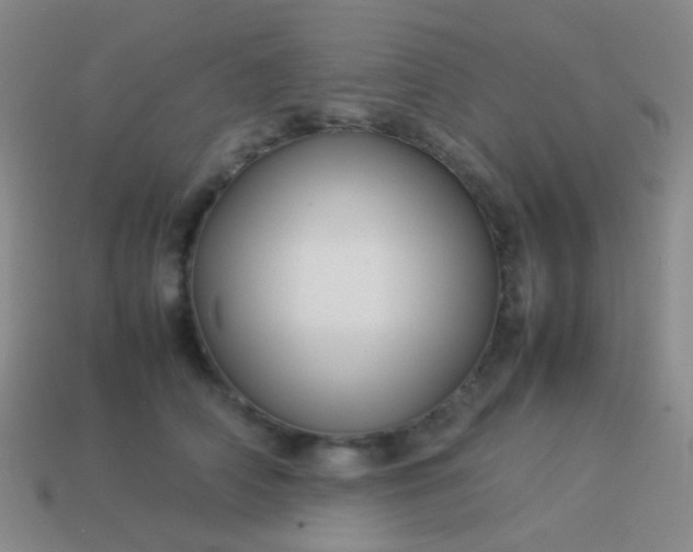 X0000114010706200910161733