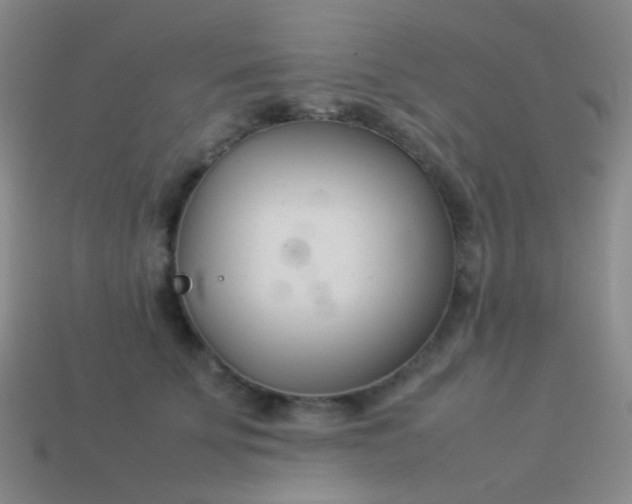 X0000114010707200910161733