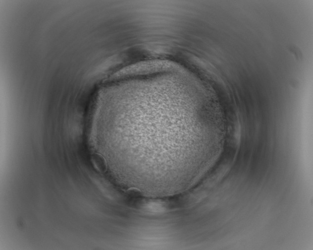 X0000114010710200910161733