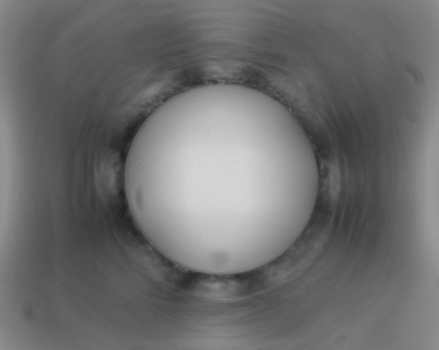 X0000114010712200910161733