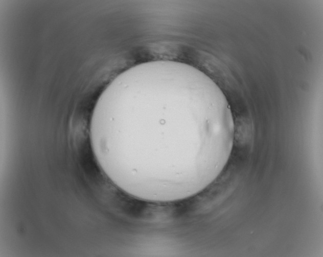 X0000114010713200910161733