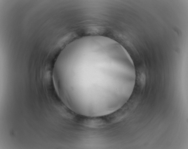 X0000114010716200910161733